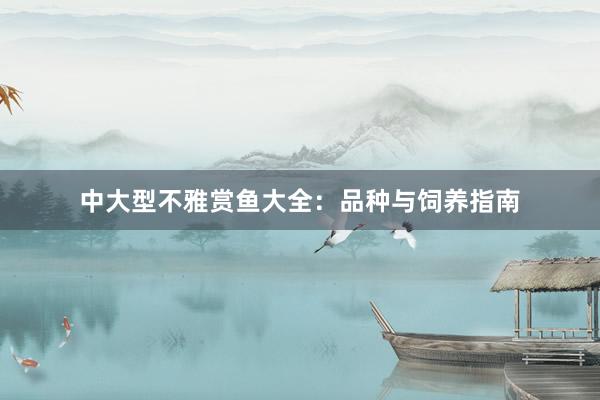 中大型不雅赏鱼大全：品种与饲养指南