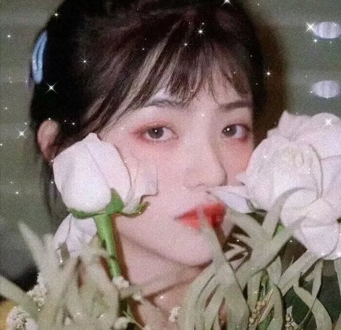 灵书妙探第六季