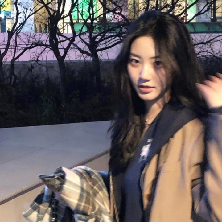 我的男友和狗